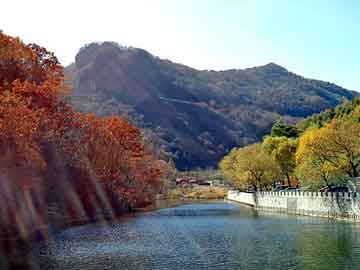 管家婆黑白马报图库，深圳机场到罗湖口岸